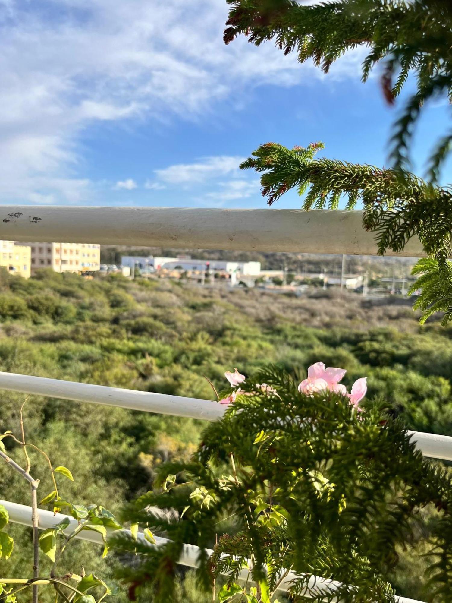 Las Terrazas Mogador Εσαουίρα Εξωτερικό φωτογραφία